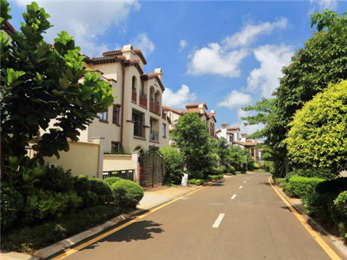 观前街国风奶茶店怎么样，观前街茶叶