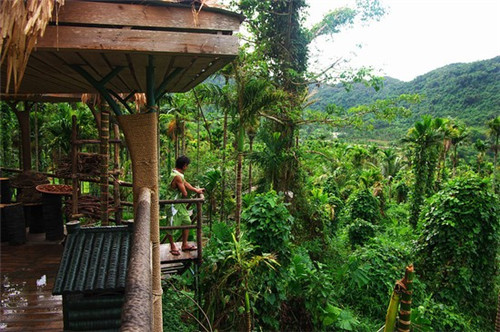 园林景观加盟代理好项目有哪些，园林绿化招商加盟项目