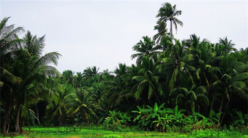 煲官人肉蟹煲值得加盟吗，加盟煲官人肉蟹煲投资回报的周期一般是多久