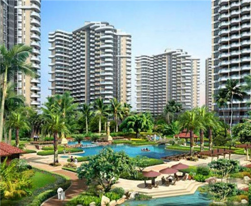 送药公司取名怎么取的（送药公司取名怎么取的好听）