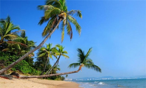 鸣佐车微博头条（佐鸣微博文）