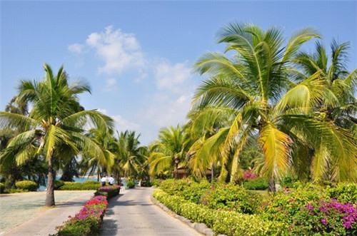 最惨重十大空难事件是什么（最严重的十大盘点空难）