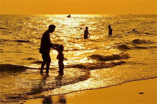 颐丰楼盘物业费（颐丰苑实际交房时间）