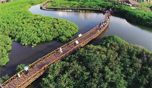 天朗物业品牌定位是什么（天朗物业公司）