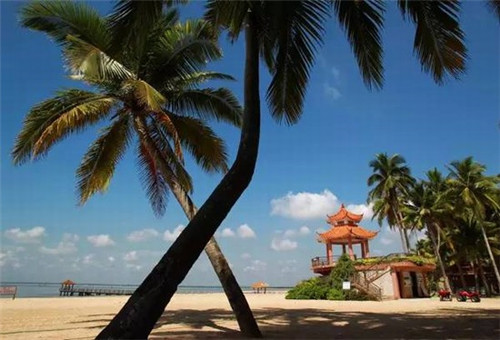 浙江十大黑科技公司排名（浙江科技企业排名）