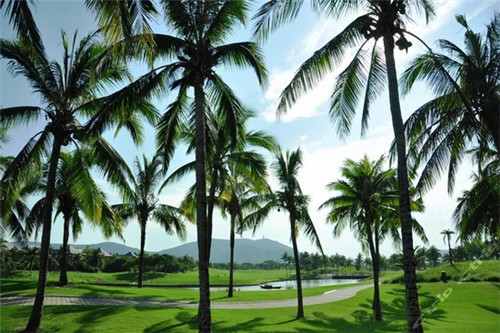 宜宾丽雅和锦楼盘详细信息（宜宾丽雅是国企吗）