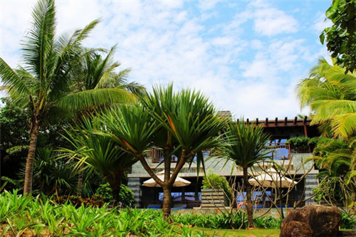 夏天必备十大潮流鞋（夏天穿的潮鞋有什么品牌）