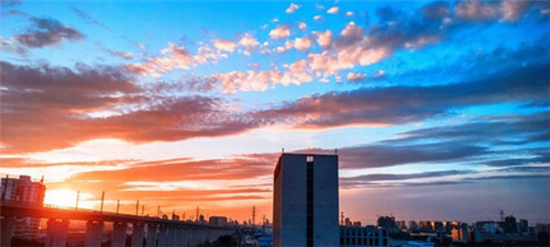 乐清市白巧克力加盟投资创业哪些品牌好